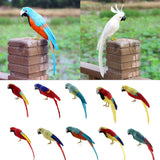 Maxbell Maxbell Simulation Artificial Feathered Parrot Bird Animal Model Toy Home Decor C