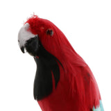 Maxbell Maxbell Simulation Artificial Feathered Parrot Bird Animal Model Toy Home Decor C