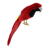 Maxbell Maxbell Simulation Artificial Feathered Parrot Bird Animal Model Toy Home Decor C