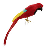 Maxbell Maxbell Simulation Artificial Feathered Parrot Bird Animal Model Toy Home Decor C