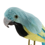 Maxbell Maxbell Simulation Artificial Feathered Parrot Bird Animal Model Toy Home Decor N