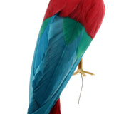 Maxbell Maxbell Simulation Artificial Feathered Parrot Bird Animal Model Toy Home Decor F