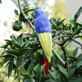 Maxbell Maxbell Simulation Artificial Feathered Parrot Bird Animal Model Toy Home Decor G