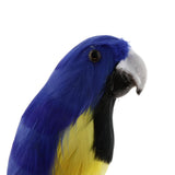 Maxbell Maxbell Simulation Artificial Feathered Parrot Bird Animal Model Toy Home Decor G