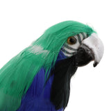 Maxbell Maxbell Simulation Artificial Feathered Parrot Bird Animal Model Toy Home Decor L