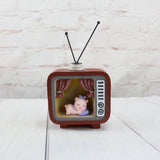 Maxbell Sleeping Pig Figurine TV Model Kid Toy Desk Playhouse Home Decor Ornament #B