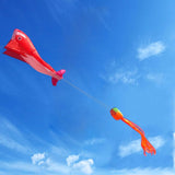 Maxbell Red Dolphin Frameless Soft Parafoil Kite for Kids & Adults Park Beach Play