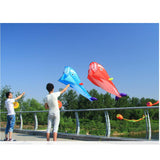 Maxbell Red Dolphin Frameless Soft Parafoil Kite for Kids & Adults Park Beach Play