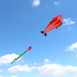 Maxbell Red Dolphin Frameless Soft Parafoil Kite for Kids & Adults Park Beach Play