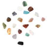 Maxbell Rock & Mineral Collection Geology Science Kit Earth Science Toy - Pack of 20