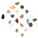 Maxbell Rock & Mineral Collection Geology Science Kit Earth Science Toy - Pack of 20