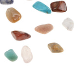 Maxbell Rock & Mineral Collection Geology Science Kit Earth Science Toy - Pack of 20