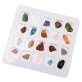 Maxbell Rock & Mineral Collection Geology Science Kit Earth Science Toy - Pack of 20