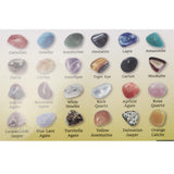 Maxbell Rock & Mineral Collection Geology Science Kit Earth Science Toy - Pack of 20