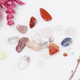 Maxbell Rock & Mineral Collection Geology Science Earth Science Toy - Mixed Minerals