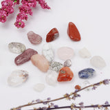 Maxbell Rock & Mineral Collection Geology Science Earth Science Toy - Mixed Minerals