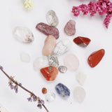 Maxbell Rock & Mineral Collection Geology Science Earth Science Toy - Mixed Minerals