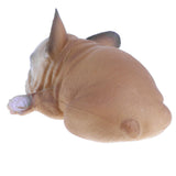 Maxbell 2pcs Sleeping Animal Model Figure Toys Figurine Home Decor French