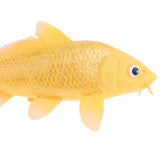 Maxbell Maxbell Realistic 6 Inch Golden Cyprinus Carpio Aquatic Animal Model Figurines Action Figure Toy for Kids, Nature Educational Toy