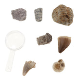 Maxbell Maxbell Rock & Mineral Collection PK664 Real Specimens Geology Science Kit Earth Science Toy - Pack of 7