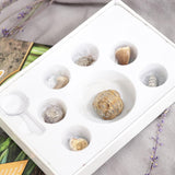 Maxbell Maxbell Rock & Mineral Collection PK664 Real Specimens Geology Science Kit Earth Science Toy - Pack of 7