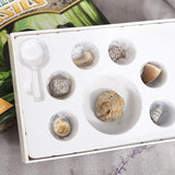 Maxbell Maxbell Rock & Mineral Collection PK664 Real Specimens Geology Science Kit Earth Science Toy - Pack of 7