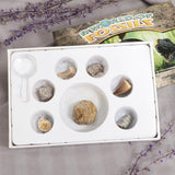 Maxbell Maxbell Rock & Mineral Collection PK664 Real Specimens Geology Science Kit Earth Science Toy - Pack of 7