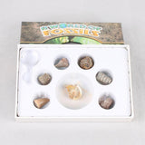 Maxbell Maxbell Rock & Mineral Collection PK664 Real Specimens Geology Science Kit Earth Science Toy - Pack of 7