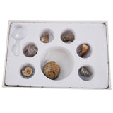 Maxbell Maxbell Rock & Mineral Collection PK664 Real Specimens Geology Science Kit Earth Science Toy - Pack of 7