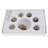 Maxbell Maxbell Rock & Mineral Collection PK664 Real Specimens Geology Science Kit Earth Science Toy - Pack of 7