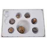 Maxbell Maxbell Rock & Mineral Collection PK664 Real Specimens Geology Science Kit Earth Science Toy - Pack of 7