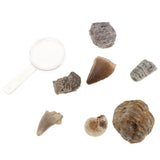 Maxbell Maxbell Rock & Mineral Collection PK664 Real Specimens Geology Science Kit Earth Science Toy - Pack of 7