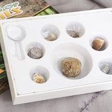 Maxbell Maxbell Rock & Mineral Collection PK664 Real Specimens Geology Science Kit Earth Science Toy - Pack of 7