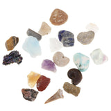 Maxbell Educational Geology Science Kit Rock & Mineral Collection GN201 - Pack of 20