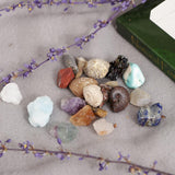 Maxbell Educational Geology Science Kit Rock & Mineral Collection GN201 - Pack of 20