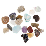 Maxbell Educational Geology Science Kit Rock & Mineral Collection GN201 - Pack of 20