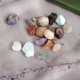 Maxbell Educational Geology Science Kit Rock & Mineral Collection GN201 - Pack of 20