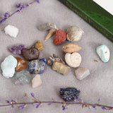 Maxbell Educational Geology Science Kit Rock & Mineral Collection GN201 - Pack of 20