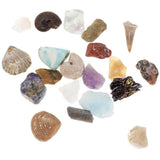 Maxbell Educational Geology Science Kit Rock & Mineral Collection GN201 - Pack of 20