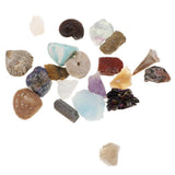 Maxbell Educational Geology Science Kit Rock & Mineral Collection GN201 - Pack of 20