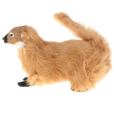 Maxbell Realistic Faux Fur Weasel Animal Model Figures DIY Home Decoration