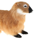 Maxbell Realistic Faux Fur Weasel Animal Model Figures DIY Home Decoration