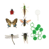 Maxbell 6 Pieces Plastic Bugs Insects Animal Model Kids Toys Party Bag Favor - Aladdin Shoppers