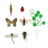 Maxbell 6 Pieces Plastic Bugs Insects Animal Model Kids Toys Party Bag Favor - Aladdin Shoppers