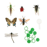 Maxbell 6 Pieces Plastic Bugs Insects Animal Model Kids Toys Party Bag Favor - Aladdin Shoppers