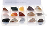 Maxbell Geology Science Kit - Rock and Mineral Collection in Clear Collection Box - Aladdin Shoppers