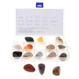 Maxbell Geology Science Kit - Rock and Mineral Collection in Clear Collection Box - Aladdin Shoppers