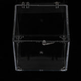 Maxbell 3x3x3.5cm Transparent Dustproof Display Case with Balck Base For Rock & Mineral Collection - Aladdin Shoppers