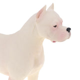 Maxbell Plastic Realistic Dogo Argentinos Action Figure Pet Dog Model Wildlife Jungle Animals Playset Eduactional Toys Kids Child Collectibles - Aladdin Shoppers