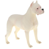 Maxbell Plastic Realistic Dogo Argentinos Action Figure Pet Dog Model Wildlife Jungle Animals Playset Eduactional Toys Kids Child Collectibles - Aladdin Shoppers